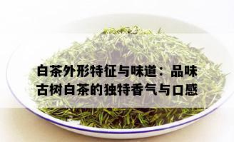 白茶外形特征与味道：品味古树白茶的独特香气与口感