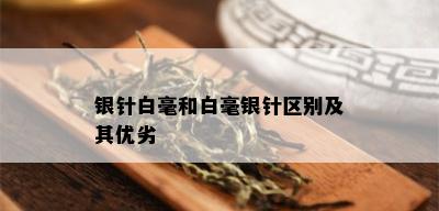 银针白毫和白毫银针区别及其优劣