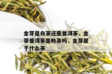 金芽是白茶还是普洱茶，金芽普洱茶是熟茶吗，金芽属于什么茶