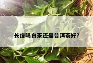 长痘喝白茶还是普洱茶好？