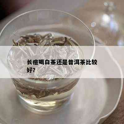 长痘喝白茶还是普洱茶比较好？