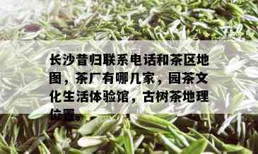 长沙昔归联系电话和茶区地图，茶厂有哪几家，园茶文化生活体验馆，古树茶地理位置。