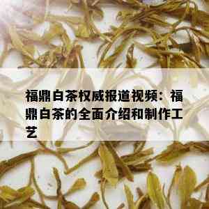 福鼎白茶权威报道视频：福鼎白茶的全面介绍和制作工艺