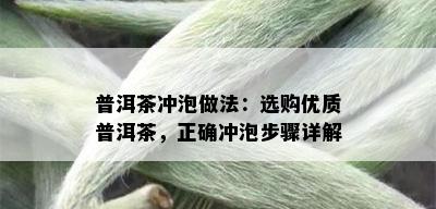 普洱茶冲泡做法：选购优质普洱茶，正确冲泡步骤详解