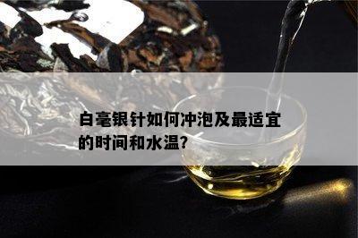 白毫银针如何冲泡及最适宜的时间和水温？