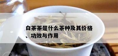 白茶茶是什么茶种及其价格、功效与作用