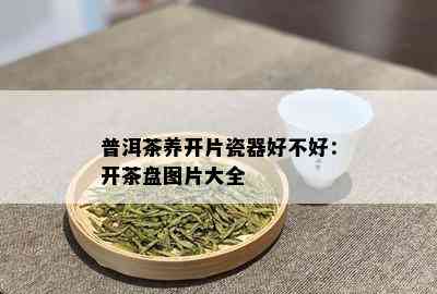 普洱茶养开片瓷器好不好：开茶盘图片大全