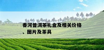 香河普洱茶礼盒及相关价格、图片及茶具