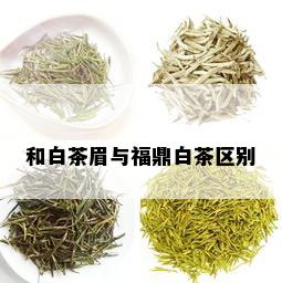 和白茶眉与福鼎白茶区别