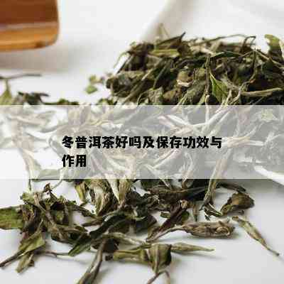 冬普洱茶好吗及保存功效与作用