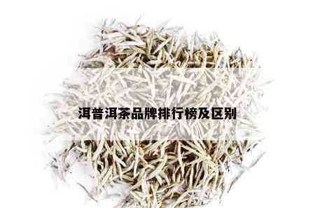 洱普洱茶品牌排行榜及区别