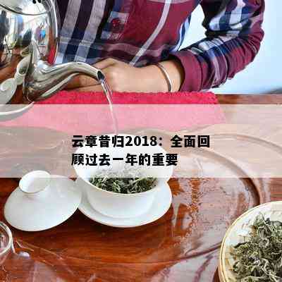 云章昔归2018：全面回顾过去一年的重要