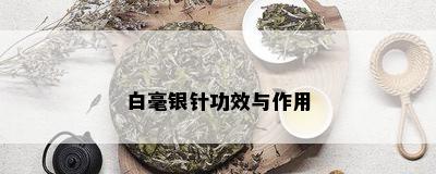 白毫银针功效与作用