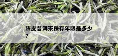 陈皮普洱茶保存年限是多少?