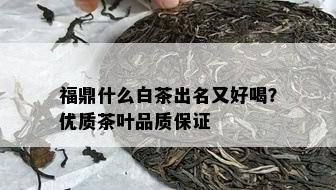 福鼎什么白茶出名又好喝？优质茶叶品质保证