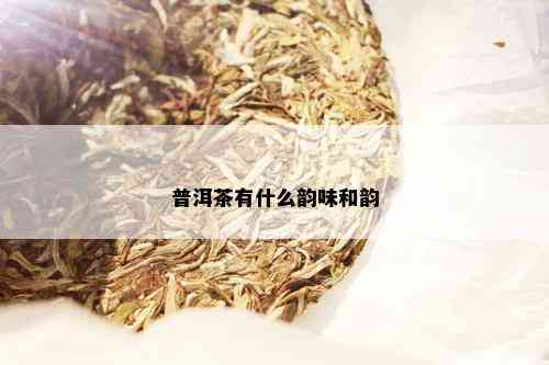 普洱茶有什么韵味和韵