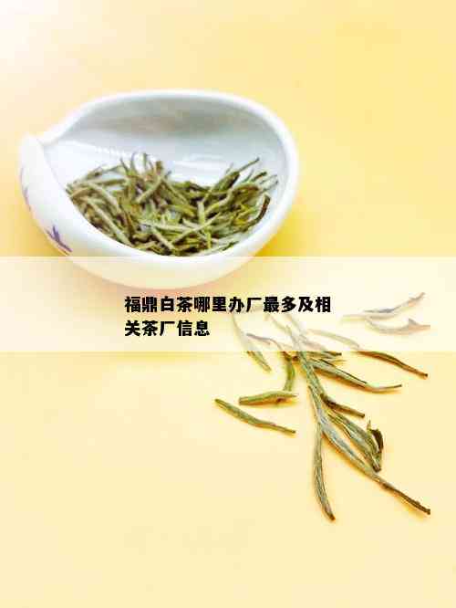 福鼎白茶哪里办厂最多及相关茶厂信息