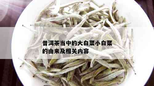 普洱茶当中的大白菜小白菜的由来及相关内容