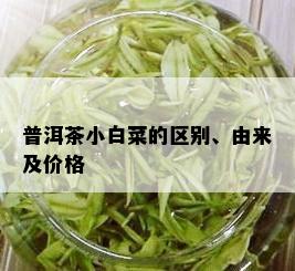 普洱茶小白菜的区别、由来及价格