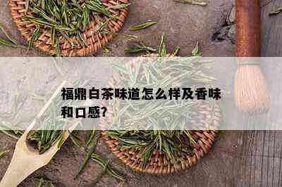 福鼎白茶味道怎么样及香味和口感？