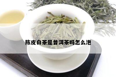 陈皮白茶是普洱茶吗怎么泡