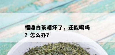 福鼎白茶晒坏了，还能喝吗？怎么办？