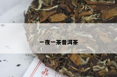 一夜一茶普洱茶