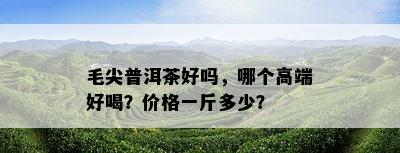 毛尖普洱茶好吗，哪个高端好喝？价格一斤多少？