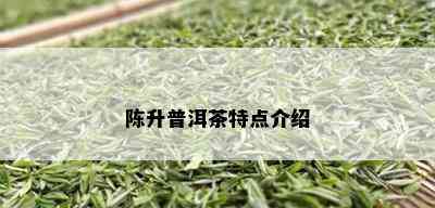 陈升普洱茶特点介绍