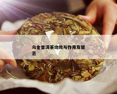 乌金普洱茶功效与作用及禁忌