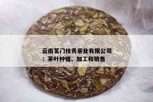 云南茗门枝秀茶业有限公司：茶叶种植、加工和销售