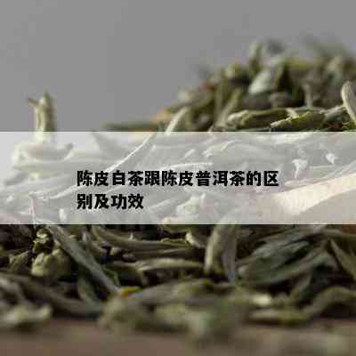 陈皮白茶跟陈皮普洱茶的区别及功效