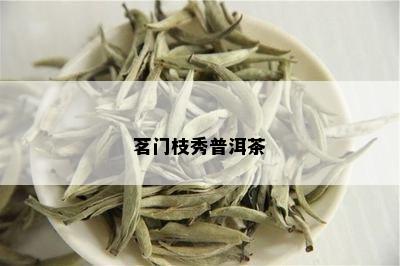 茗门枝秀普洱茶