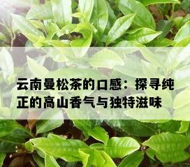 云南曼松茶的口感：探寻纯正的高山香气与独特滋味