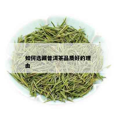 如何选藏普洱茶品质好的理由