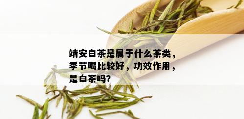 靖安白茶是属于什么茶类，季节喝比较好，功效作用，是白茶吗？