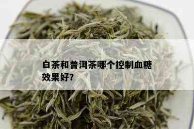 白茶和普洱茶哪个控制血糖效果好？