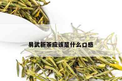 易武新茶应该是什么口感