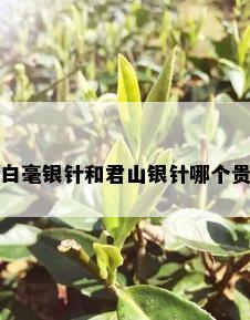 白毫银针和君山银针哪个贵