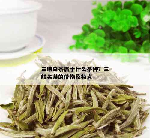 三峡白茶属于什么茶种？三峡名茶的价格及特点