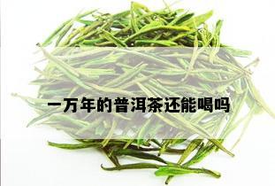 一万年的普洱茶还能喝吗