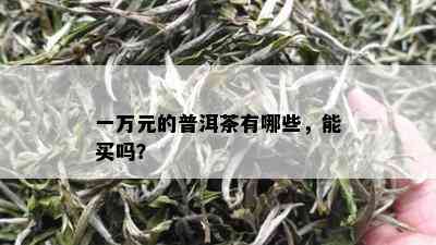 一万元的普洱茶有哪些，能买吗？