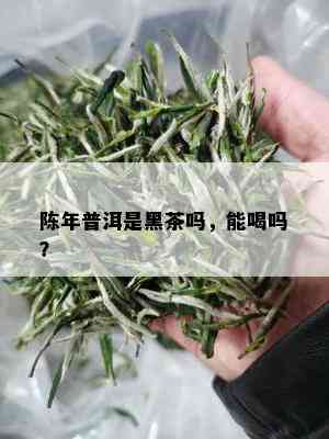 陈年普洱是黑茶吗，能喝吗？