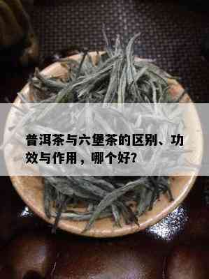 普洱茶与六堡茶的区别、功效与作用，哪个好？