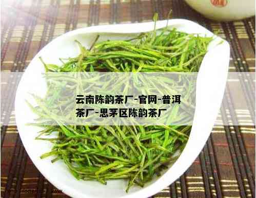 云南陈韵茶厂-官网-普洱茶厂-思茅区陈韵茶厂