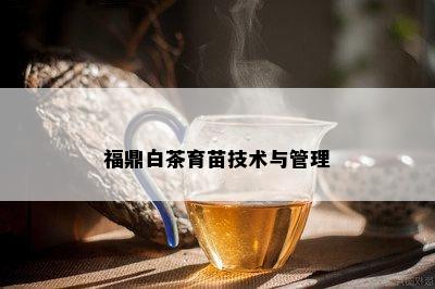 福鼎白茶育苗技术与管理