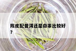 陈皮配普洱还是白茶比较好？