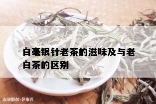 白毫银针老茶的滋味及与老白茶的区别