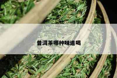 普洱茶哪种味道喝