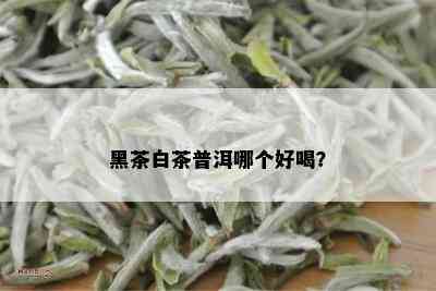 黑茶白茶普洱哪个好喝？